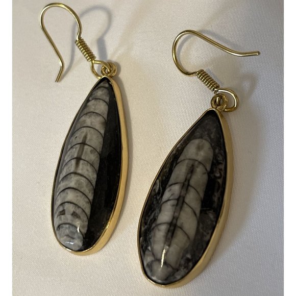 Charles Albert Jewelry - SOLD eBay Charles Albert Orthoceras Fossil Gold Tone pierced Shell earrings NWT